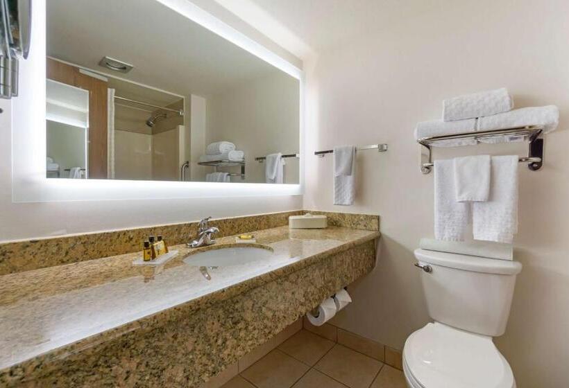 اتاق لوکس با تخت بزرگ, Best Western Plus Oak Harbor Hotel And Conference Center