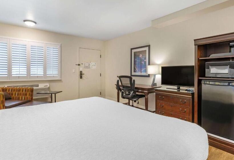 스탠다드 룸 킹사이즈 침대, Best Western Rose Garden Inn
