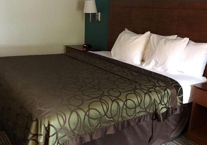 스탠다드 룸 킹사이즈 침대, Best Western Tallahasseedowntown Inn And Suites