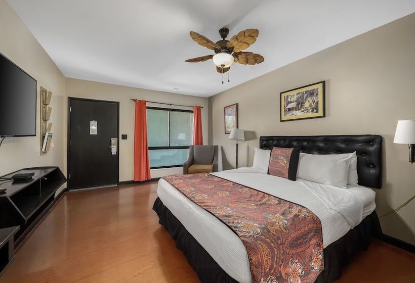 Deluxe Room, Caliente Tropics