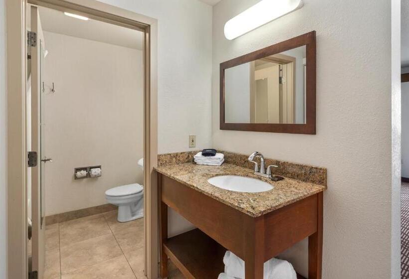 Номер Deluxe Кровать Кинг с Видом, Cedar Street Hotel & Suites