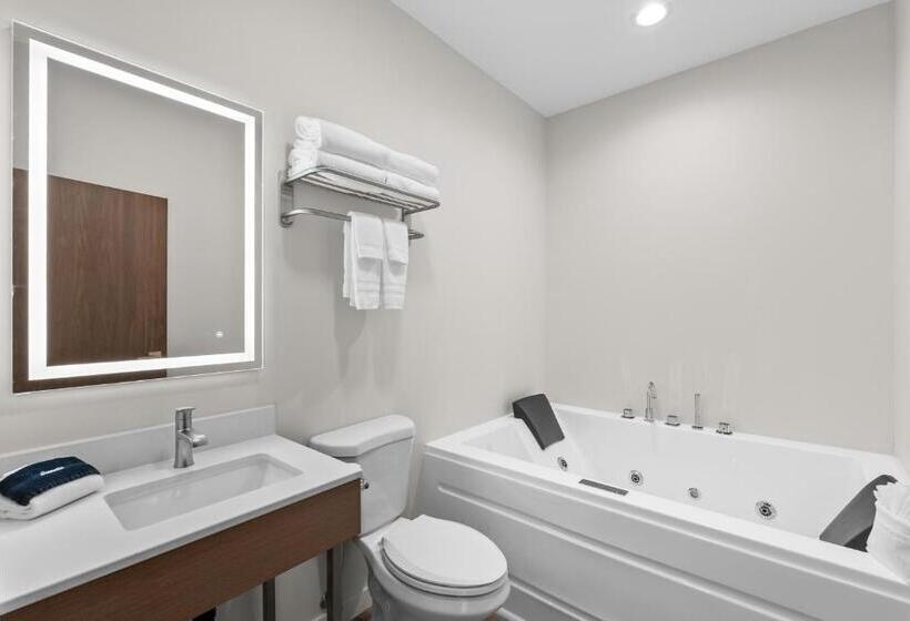 Апартаменты 2 Спальни, Cedar Street Hotel & Suites