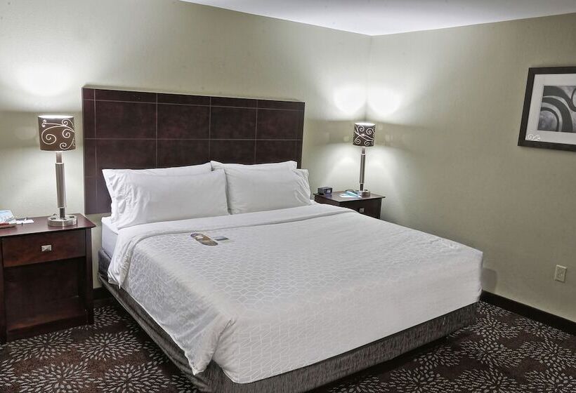 اتاق استاندارد, Holiday Inn Express Pittsburgh West   Greentree, An Ihg