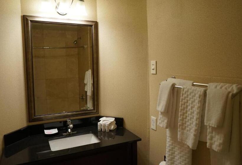 اتاق استاندارد, Wingate By Wyndham Bellingham Heritage Inn