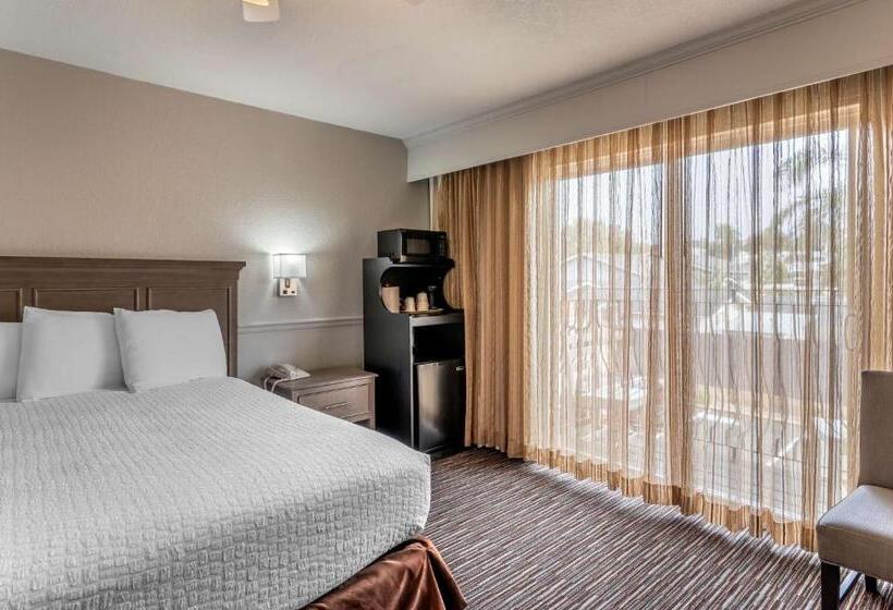 Номер Стандарт Кровать Кинг Адаптированный для Инвалидов, Best Western San Marcos Inn