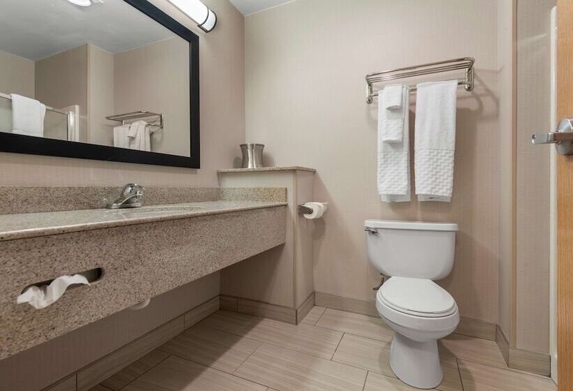 Номер Стандарт, Best Western University Inn