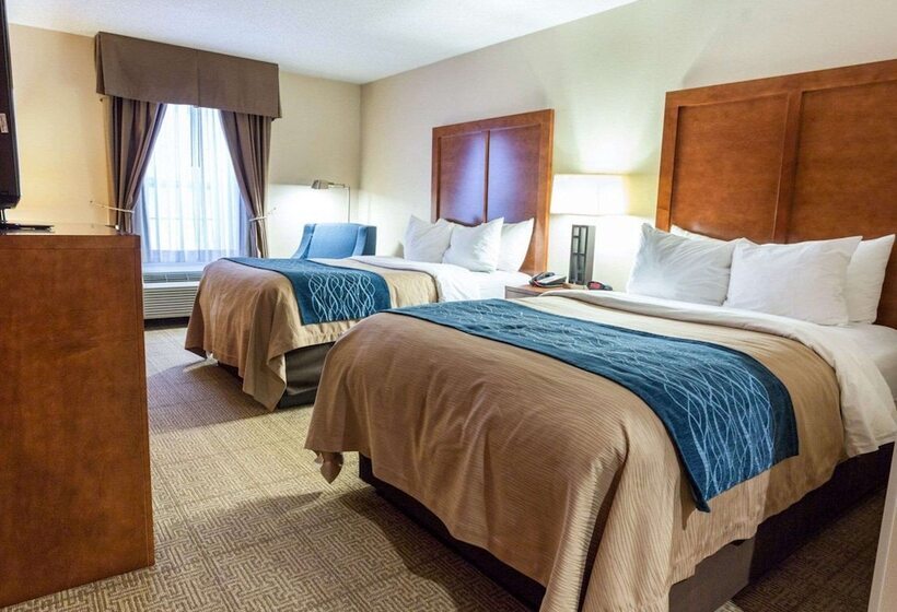 اتاق استاندارد با 2 تخت دوبل, Comfort Inn Civic Center