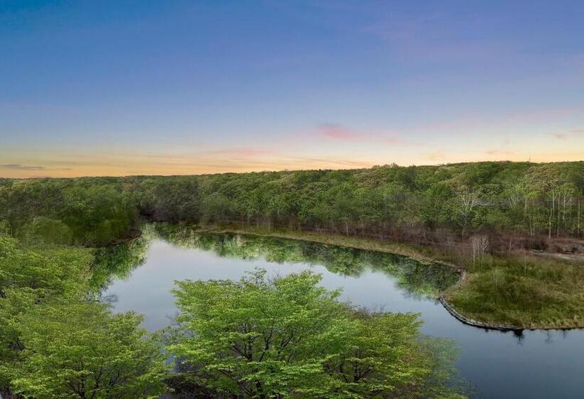 장애인을 위한 킹사이즈 침대 스탠다드 룸, Merriweather Lakehouse Hotel, Autograph Collection