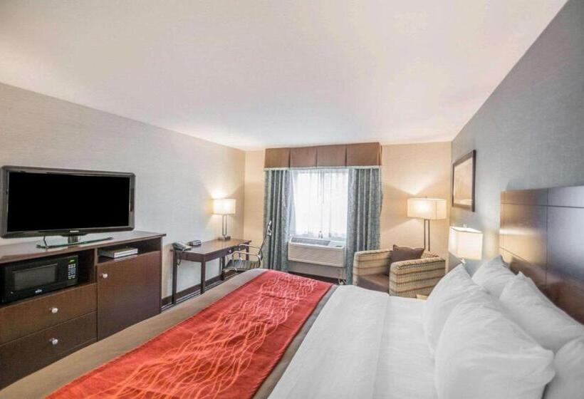 Стандартный Номер Кровать Кинг, Quality Inn
