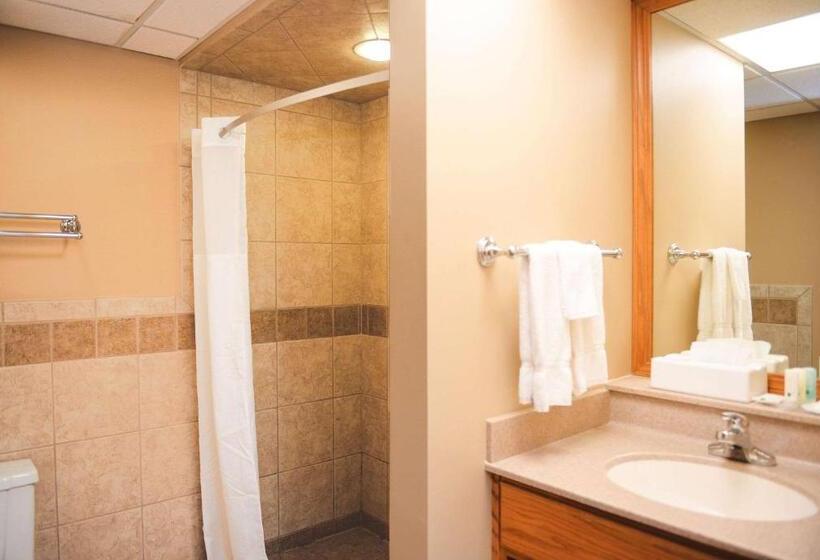 Стандартный Номер Кровать Кинг, Quality Inn & Suites Ames Conference Center Near Isu Campus