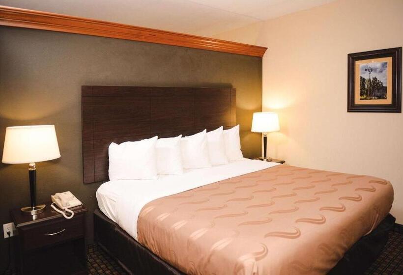 Номер Стандарт Кровать Кинг Адаптированный для Инвалидов, Quality Inn & Suites Ames Conference Center Near Isu Campus