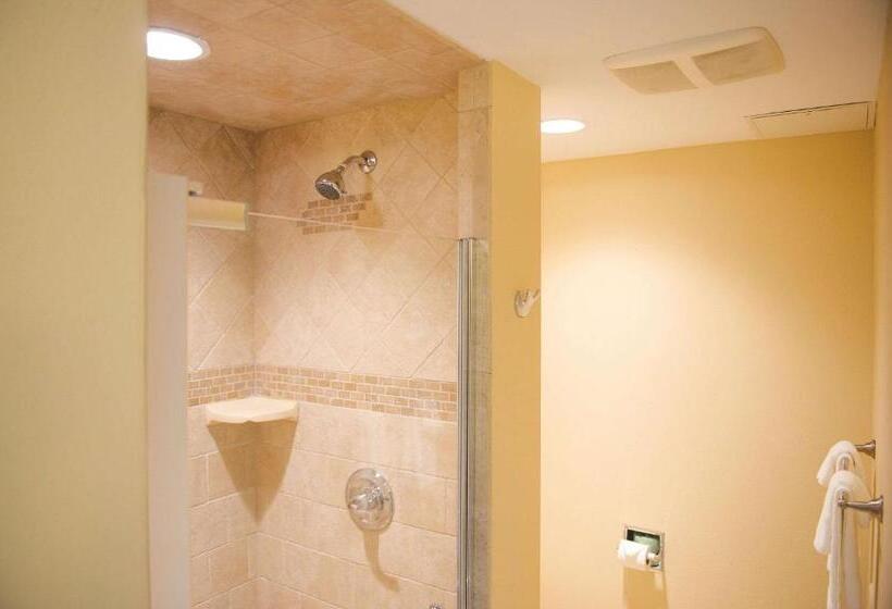 Стандартный Номер Кровать Кинг, Quality Inn & Suites Ames Conference Center Near Isu Campus