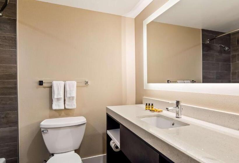 스탠다드 룸, Best Western Plus Greenville I385 Inn & Suites