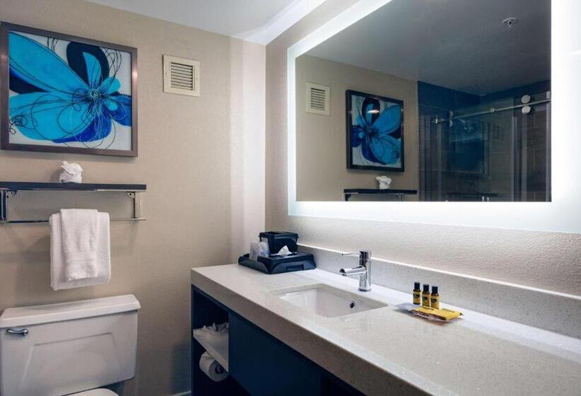 스탠다드 룸 킹사이즈 침대, Best Western Plus Greenville I385 Inn & Suites