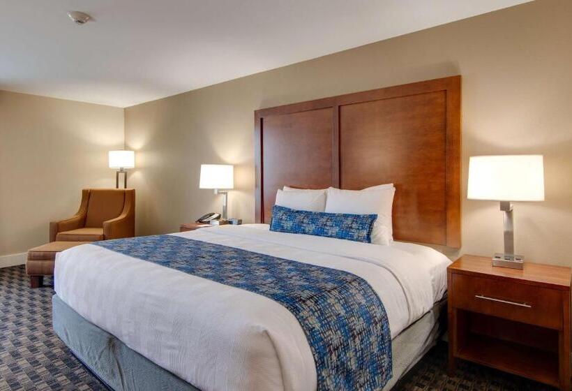 스탠다드 룸 킹사이즈 침대, Best Western Plus Greenville I385 Inn & Suites