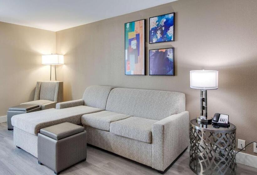 스위트, Best Western Plus Greenville I385 Inn & Suites
