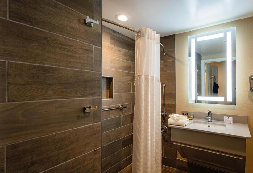 장애인을 위한 스탠다드 룸, Best Western Plus Greenville I385 Inn & Suites