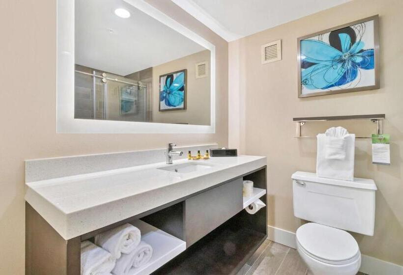 장애인을 위한 스탠다드 룸, Best Western Plus Greenville I385 Inn & Suites