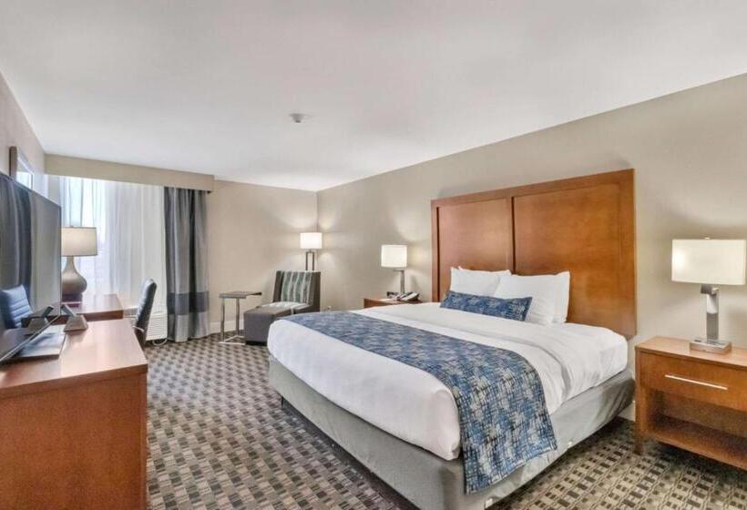 장애인을 위한 킹사이즈 침대 스탠다드 룸, Best Western Plus Greenville I385 Inn & Suites