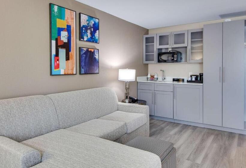 Suíte Cama King, Best Western Plus Greenville I385 Inn & Suites