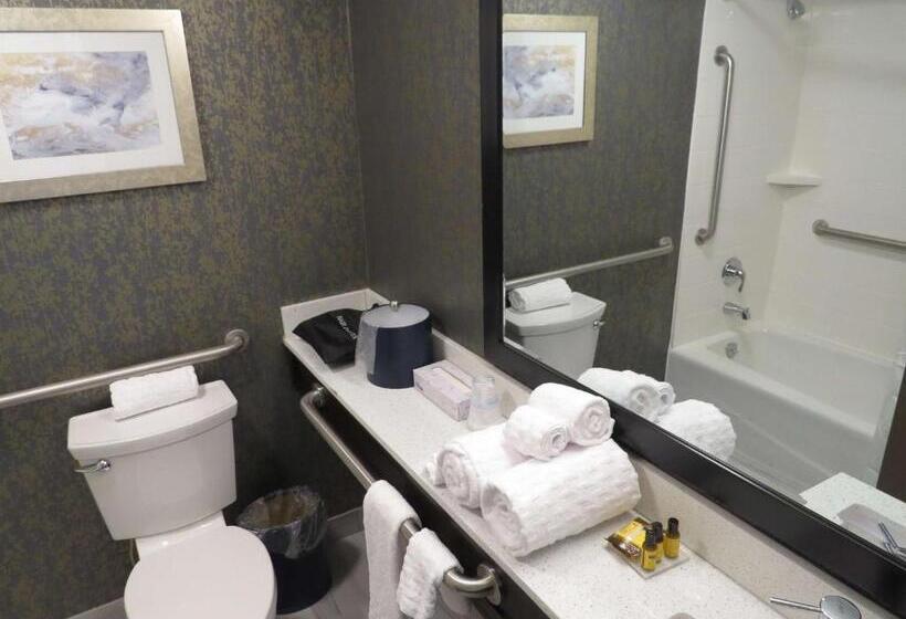 اتاق استاندارد با تخت بزرگ برای معلولان, Best Western Plus Landmark Inn