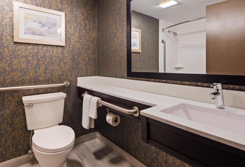 اتاق استاندارد با تخت بزرگ برای معلولان, Best Western Plus Landmark Inn