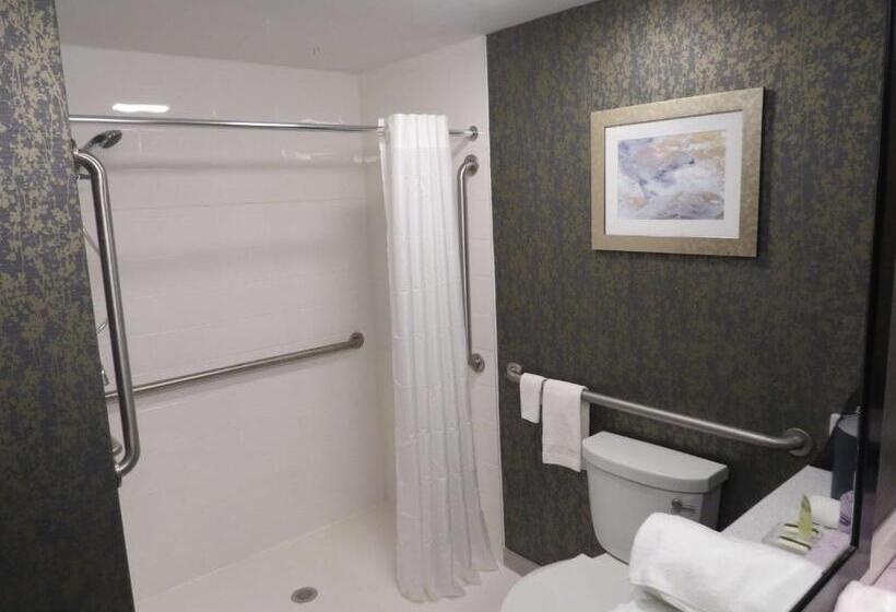 اتاق استاندارد با تخت بزرگ برای معلولان, Best Western Plus Landmark Inn