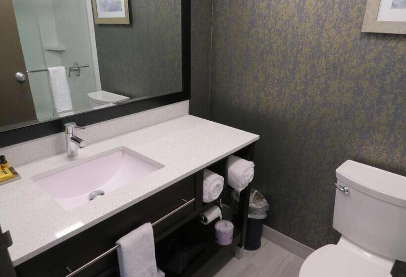 اتاق استاندارد با تخت بزرگ, Best Western Plus Landmark Inn