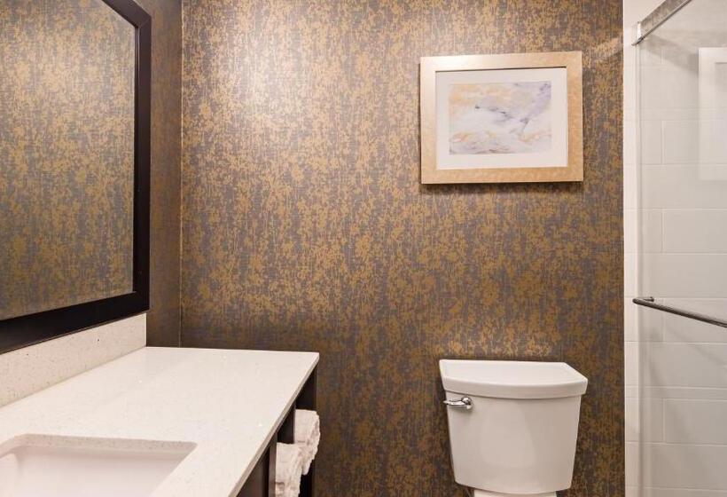 اتاق استاندارد با تخت بزرگ, Best Western Plus Landmark Inn