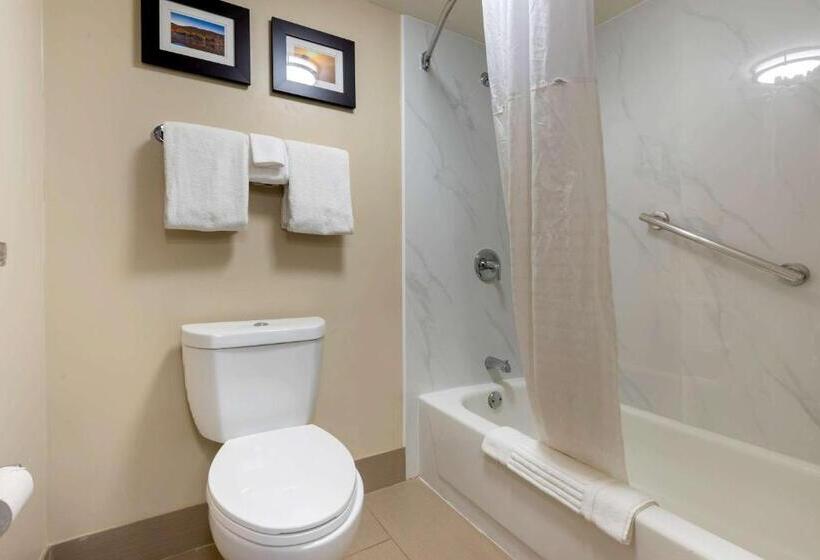 Стандартный Номер Кровать Кинг, Comfort Inn Binghamton I81