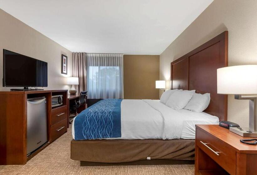 Номер Стандарт Кровать Кинг Адаптированный для Инвалидов, Comfort Inn Binghamton I81