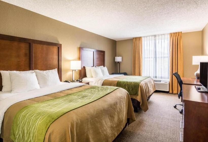 Номер Стандарт, Comfort Inn & Suites