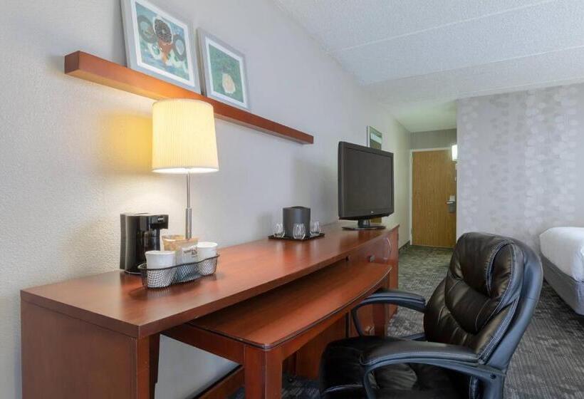 스탠다드 룸 킹사이즈 침대, Courtyard By Marriott Atlanta Windy Hill/ballpark