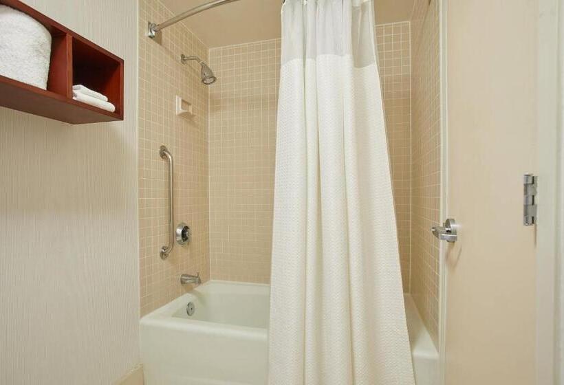 스위트, Courtyard By Marriott Atlanta Windy Hill/ballpark