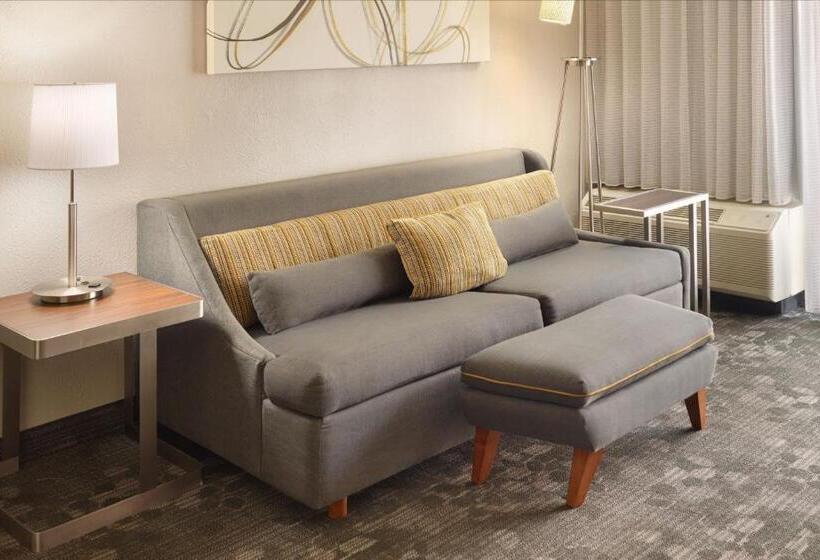 Люкс, Courtyard By Marriott Atlanta Airport South/sullivan Road