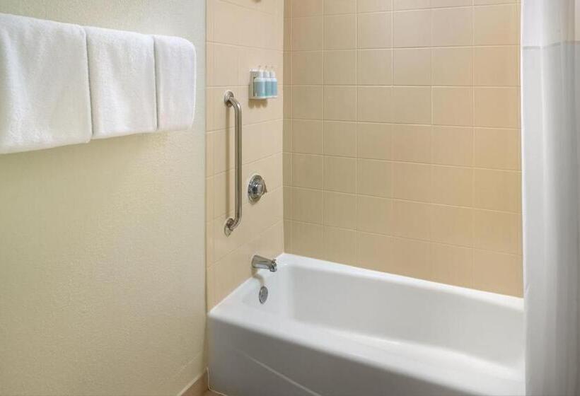 Люкс, Courtyard By Marriott Atlanta Airport South/sullivan Road