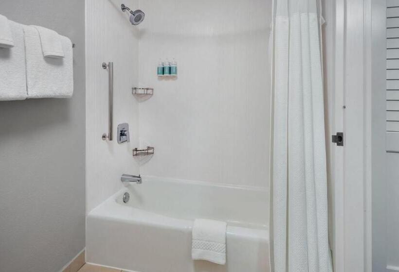 스위트 킹사이즈 침대, Courtyard By Marriott New Carrollton Landover