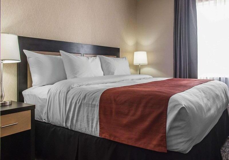 اتاق استاندارد با تخت بزرگ, Courtyard By Marriott Rockville
