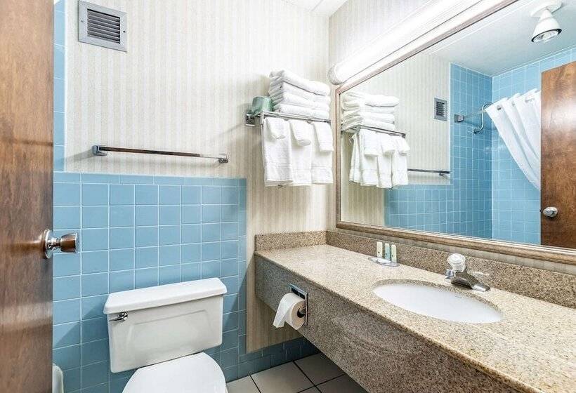 Номер Стандарт 2 Двуспальные Кровати, Econo Lodge