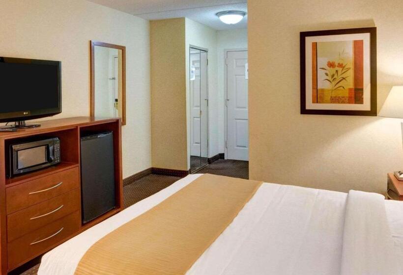 스탠다드 룸 킹사이즈 침대, Quality Inn Jessup   Columbia South Near Fort Meade