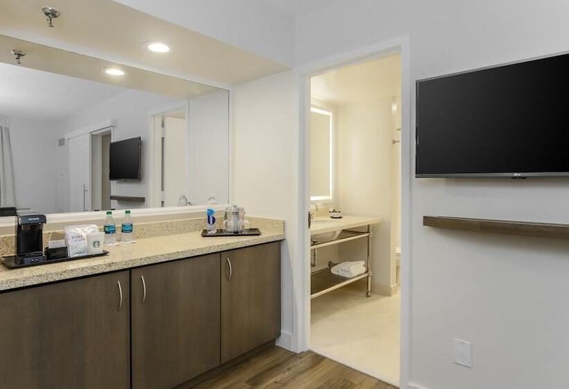 带城市景观的套间, Sheraton Suites Market Center Dallas