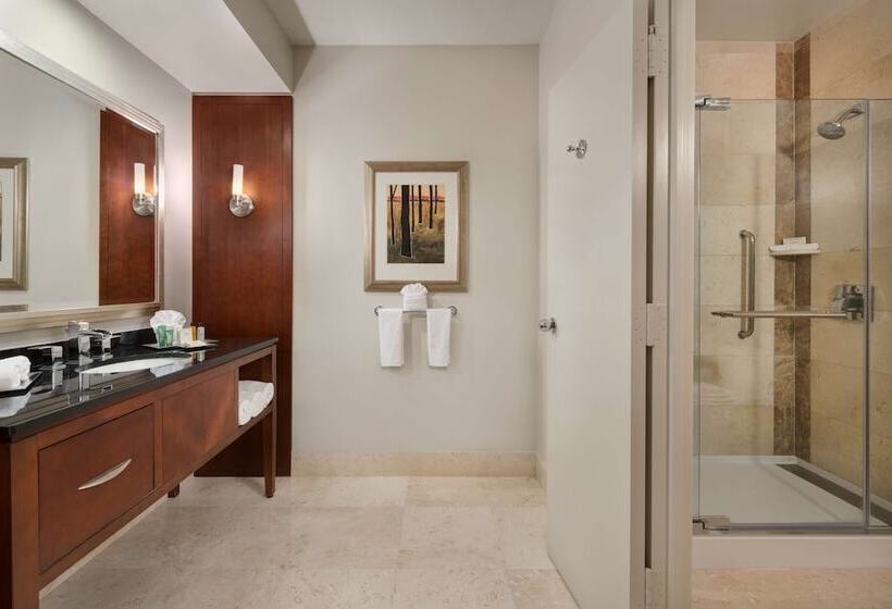 Chambre Standard 2 Lits Doubles, Hilton Houston Post Oak By The Galleria