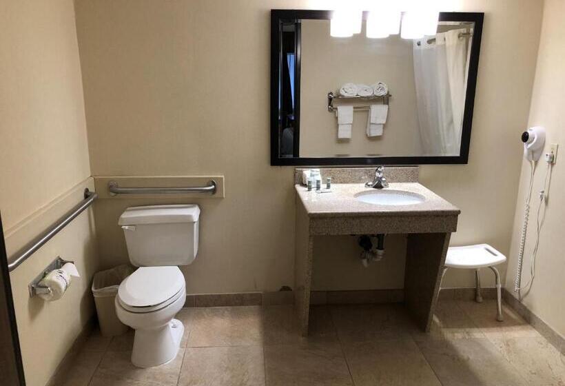 장애인을 위한 킹사이즈 침대 스탠다드 룸, Mho Inn And Suites