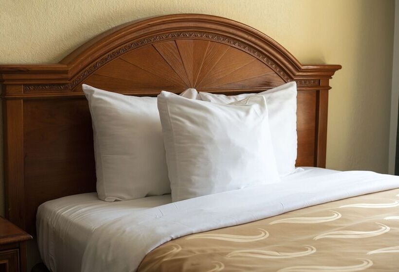 اتاق استاندارد با 2 تخت دوبل, Quality Inn & Suites Biltmore East