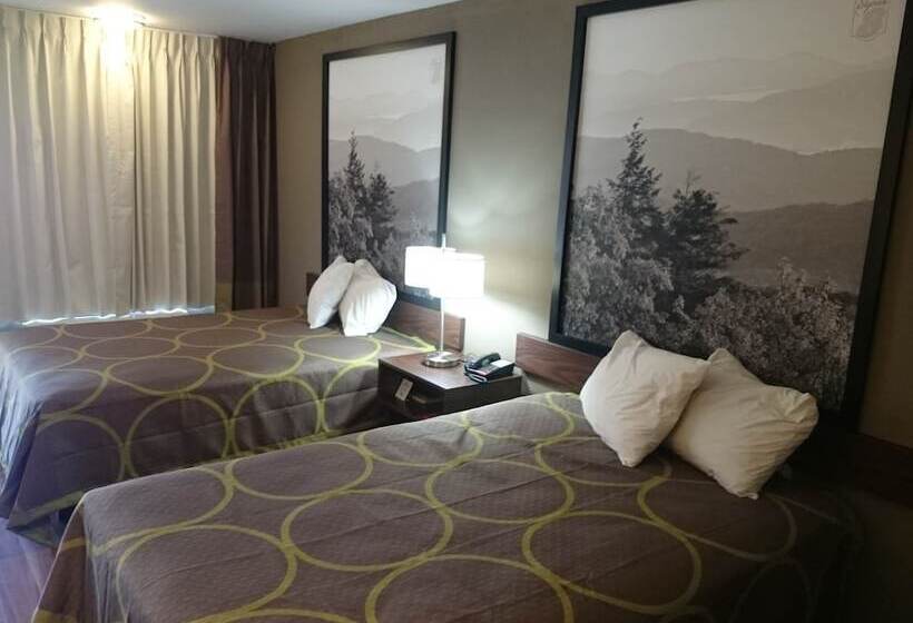 اتاق استاندارد با 2 تخت دوبل, Super 8 By Wyndham Asheville Airport