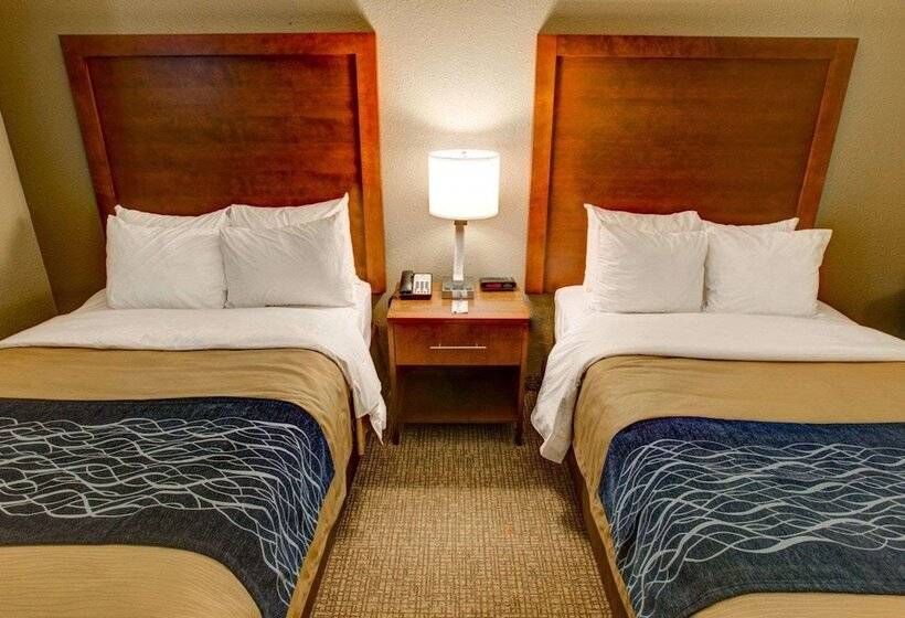 اتاق استاندارد با 2 تخت دوبل, Comfort Inn Conference Center