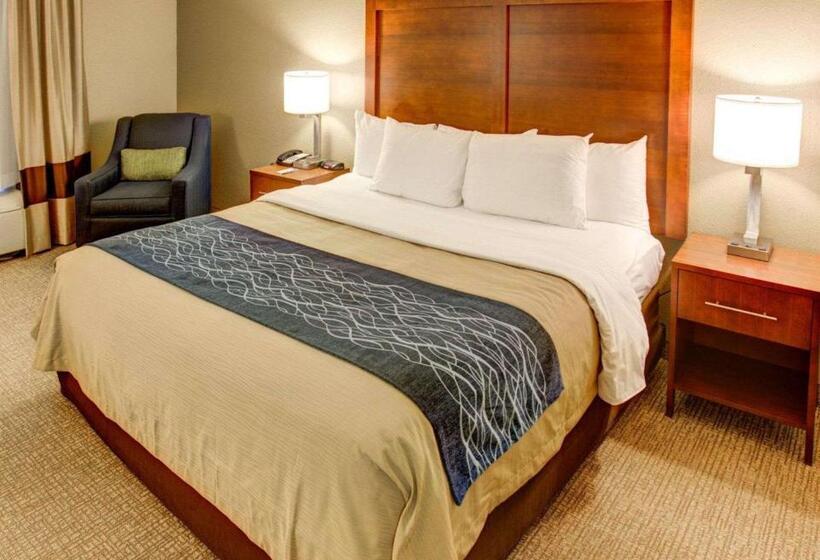اتاق استاندارد با تخت بزرگ, Comfort Inn Conference Center