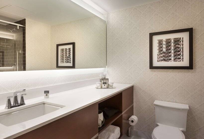 Люкс, Doubletree By Hilton Hotel & Suites Houston By The Galleria