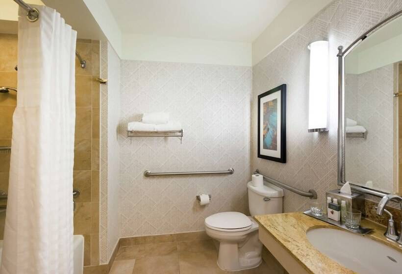Номер Стандарт Адаптированный для Инвалидов, Doubletree By Hilton Hotel & Suites Houston By The Galleria