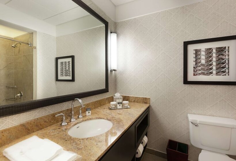 Номер Стандарт Адаптированный для Инвалидов, Doubletree By Hilton Hotel & Suites Houston By The Galleria